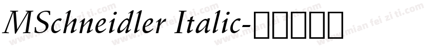 MSchneidler Italic字体转换